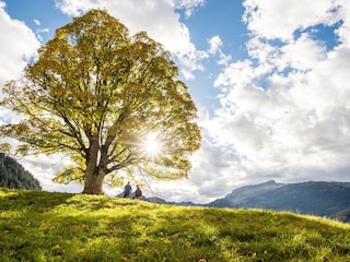 Herbsttag mit Ifen im Hintergrund