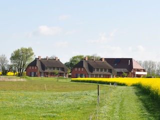 Rügen-Ferienhof wärend der Rapsblüte