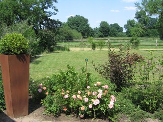 Blick in die Leinewiesen