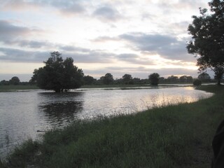 Abendstimmung an der Leine