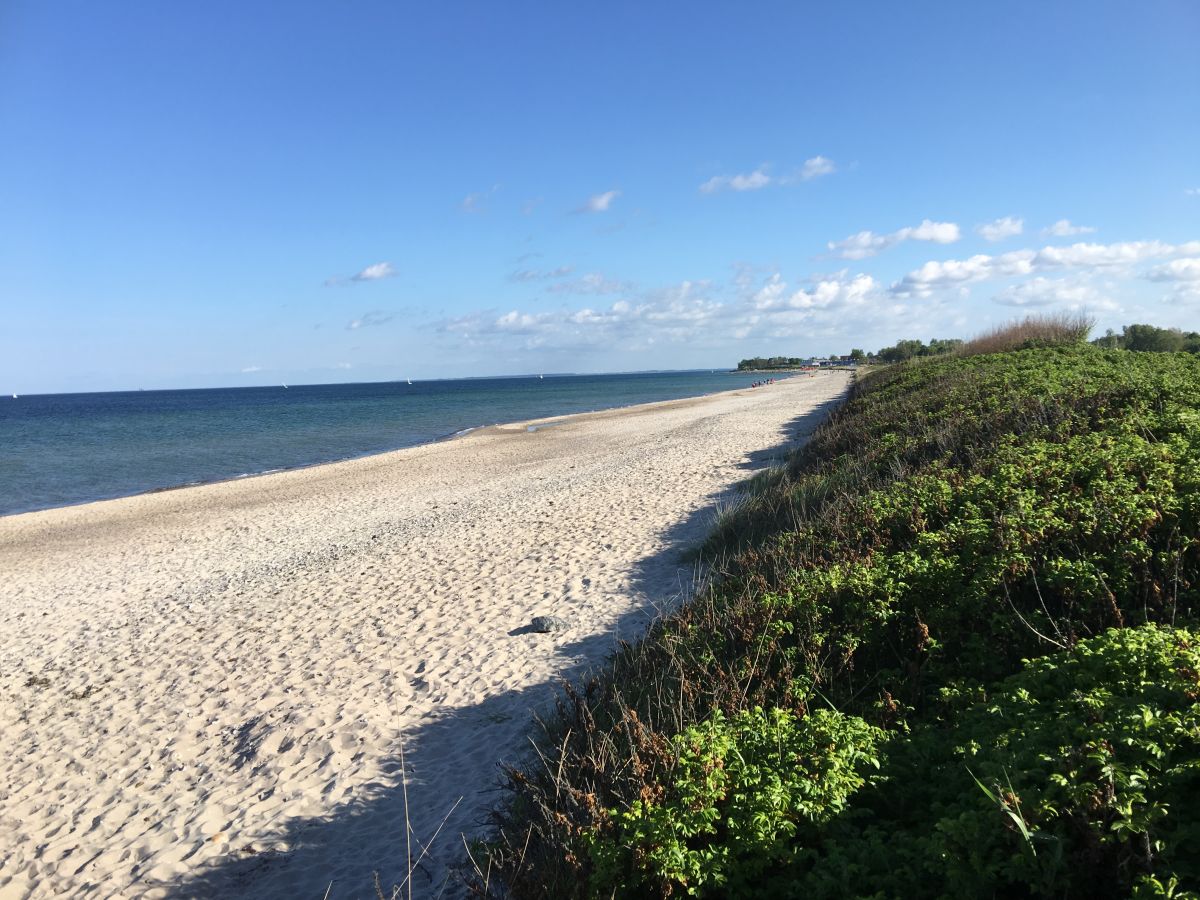 Weidefelder Strand