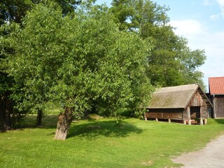 Pension Burg im Spreewald Environment 10