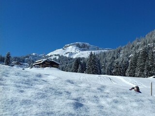 Appartamento per vacanze Hirschegg im Kleinwalsertal  18