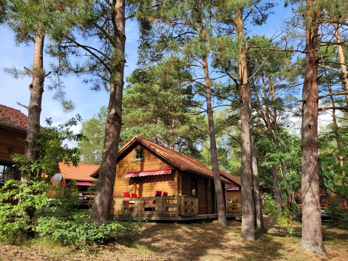 Ferienhaus Typ A aus Holz direkt im Wald am See