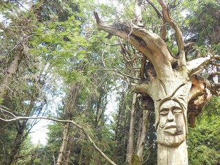 bei Wanderung enddecken