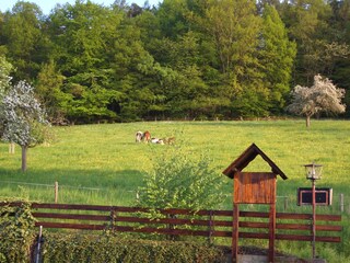 Blick von Haus Fernblick