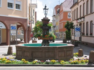 Apartamento de vacaciones Bad König  18