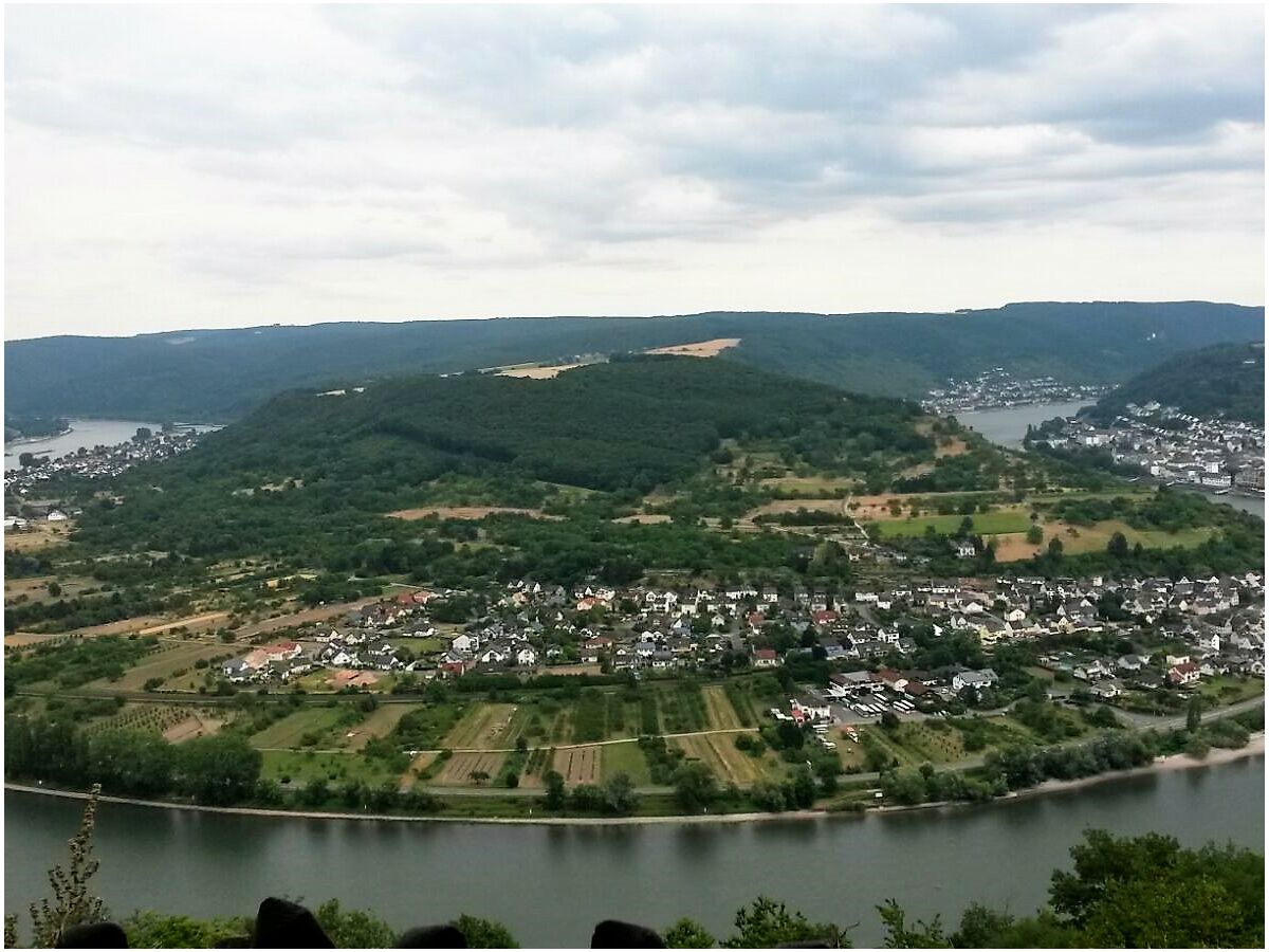 Rheinschleife Boppard