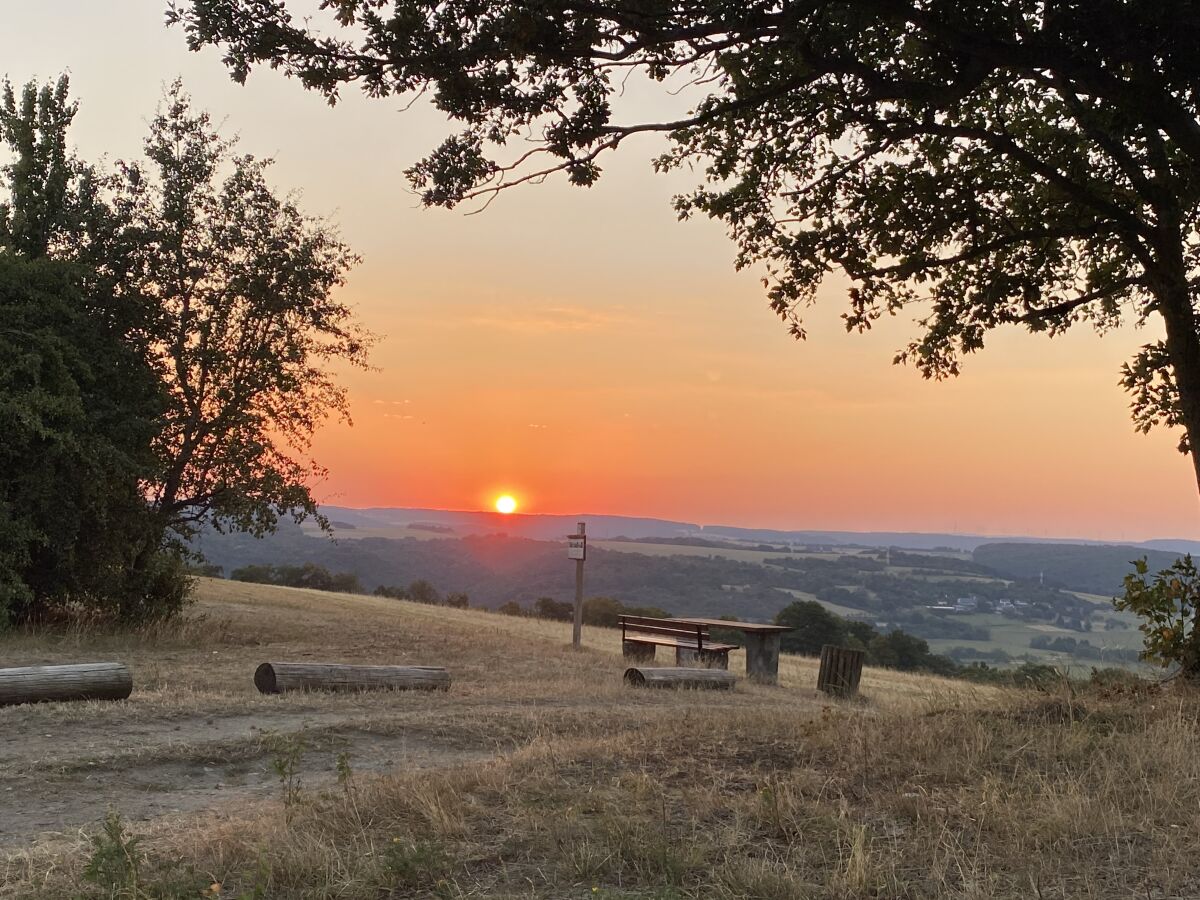 Rheinblick in Rheinbay