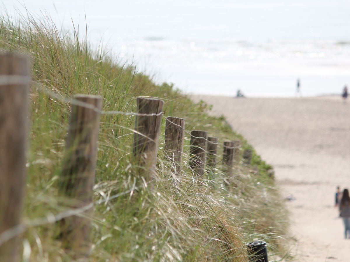 Dunen und Strand