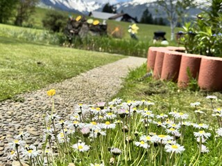 Appartamento per vacanze Riezlern Ambiente 3