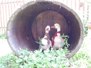 Casa per le vacanze Jagerberg Registrazione all'aperto 12