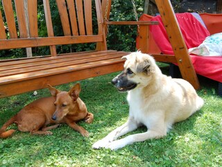 Casa per le vacanze Jagerberg Ambiente 34