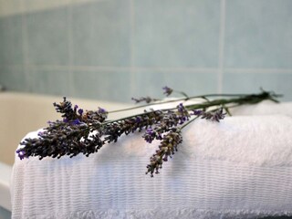 Holiday apartment Fažana Features 14