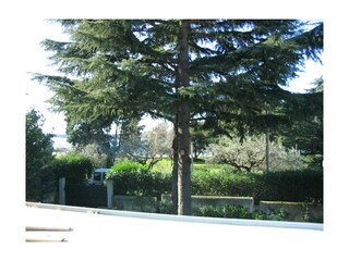 Holiday apartment Fažana Outdoor Recording 9