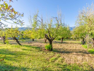 Tenuta Inca Registrazione all'aperto 18