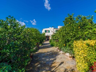 Finca Muro Buitenaudio-opname 12