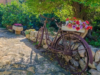 Finca Muro Außenaufnahme 17