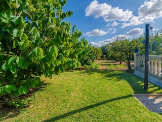 Finca Muro Außenaufnahme 15