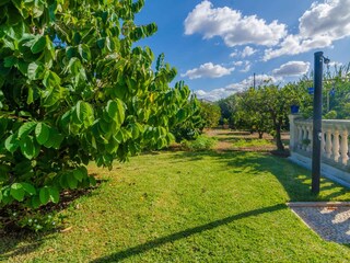 Finca Muro Buitenaudio-opname 15