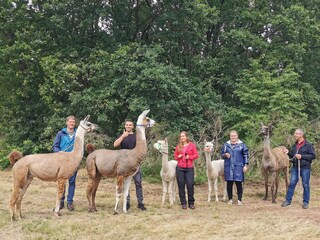 Wandern mit Lamas und Alpakas