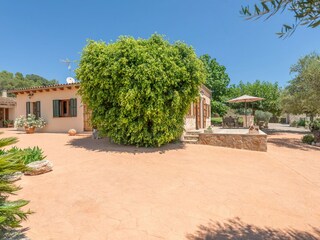 Finca Santa Margalida Kenmerken 38