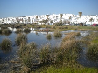 Conil de la Frontera