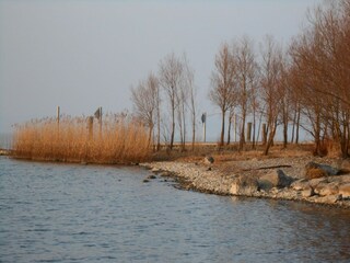 Appartamento per vacanze Höchst Ambiente 11