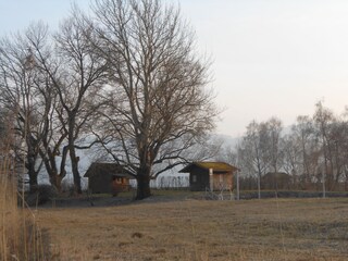 Vakantieappartement Höchst  13