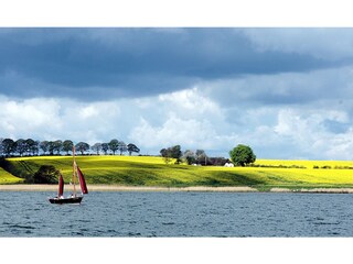 Ostseefjord  Schlei