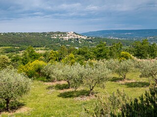 Blick auf Bonnieux
