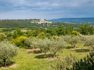 Casa per le vacanze Bonnieux Registrazione all'aperto 15