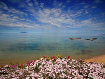 Ferienwohnung La Rosa del Mare