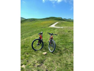 Appartamento per vacanze Bramberg am Wildkogel Ambiente 31