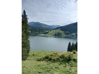 Appartamento per vacanze Bramberg am Wildkogel Ambiente 36