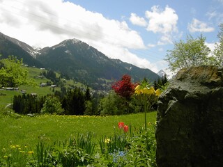 Appartement Riezlern Buitenaudio-opname 12