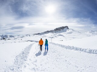 Appartement Riezlern Omgeving 22