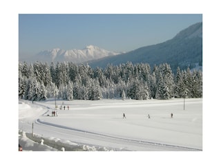 Langlaufloipe in der Nähe