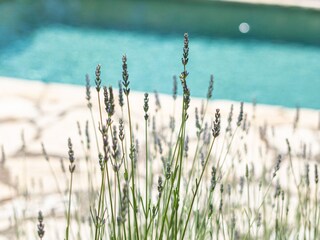 Casa per le vacanze Joucas Registrazione all'aperto 3