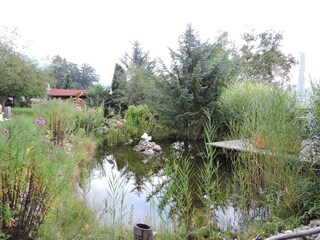 Appartamento per vacanze Millstatt Ambiente 6