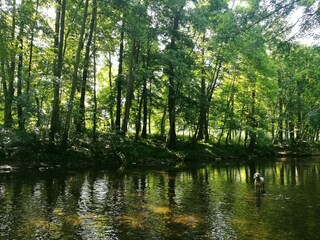 Appartamento per vacanze Bad Blankenburg Ambiente 11