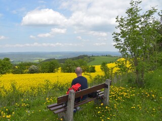 Appartamento per vacanze Bad Blankenburg Ambiente 13