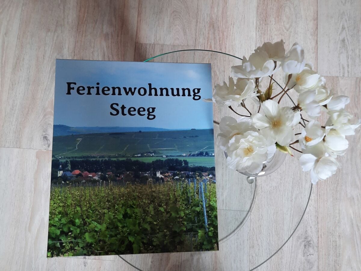 Ferienwohnung Bretzenheim Ausstattung 23