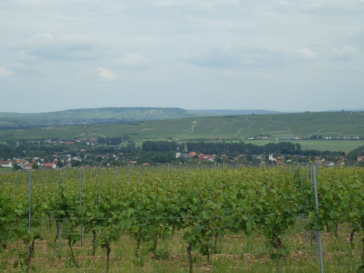 Bretzenheim vom Weinberg aus