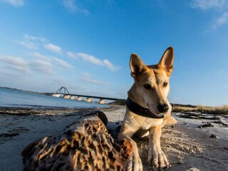 Appartamento per vacanze Großenbrode Ambiente 28