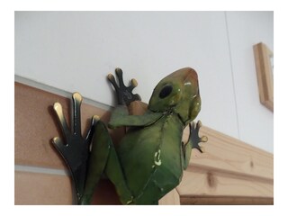 Appartamento per vacanze Großenbrode Caratteristiche 17