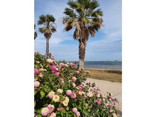 Casa per le vacanze Gruissan Ambiente 26