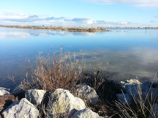 Die traumhafte Lagune mit Vogelinsel