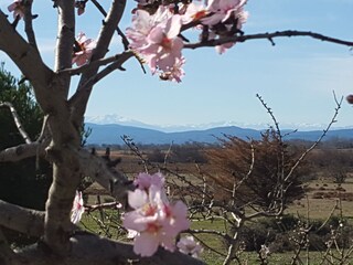 Casa per le vacanze Gruissan Ambiente 25