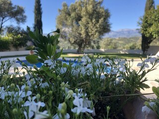 Villa Kamilari Außenaufnahme 12